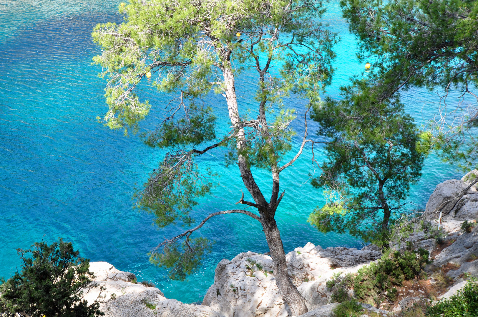 Calanques de Cassis